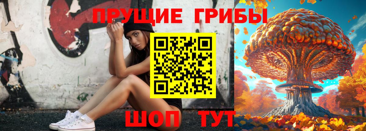 Псилоцибиновые грибы Magic Shrooms  Псилоцибиновые грибы MAGIC MUSHROOMS  Вход с VPN  Урус-Мартан 